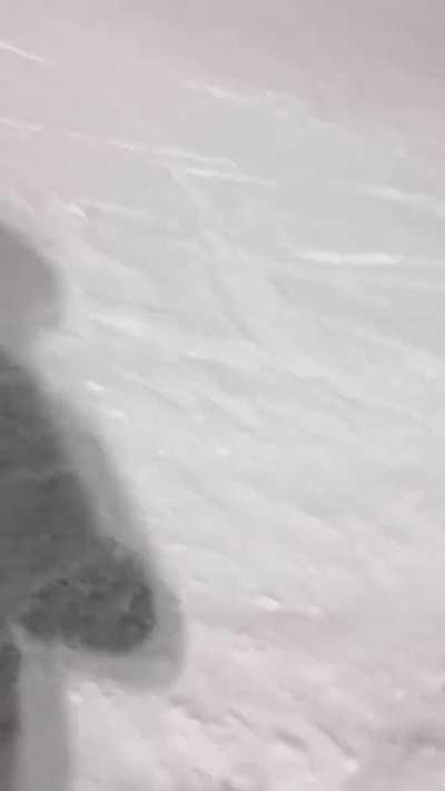 Knocked down by a skier