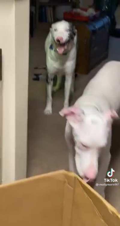 Dude sees the whole galaxy