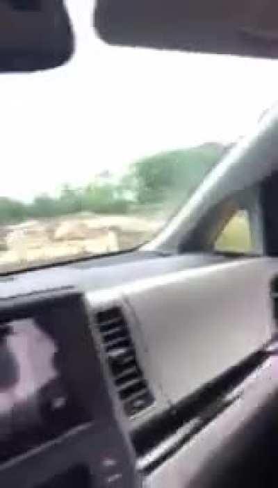 The Bison Snorting Just About Killed Me! 🤣