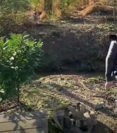 Always look ahead before you jump