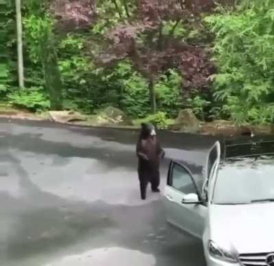 When the door gets opened