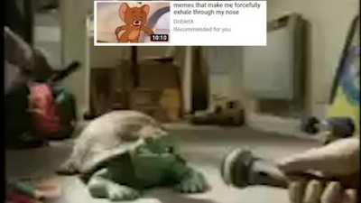 Epic Rap Battles of Allah #1: Dan Bull vs Rap Turtle