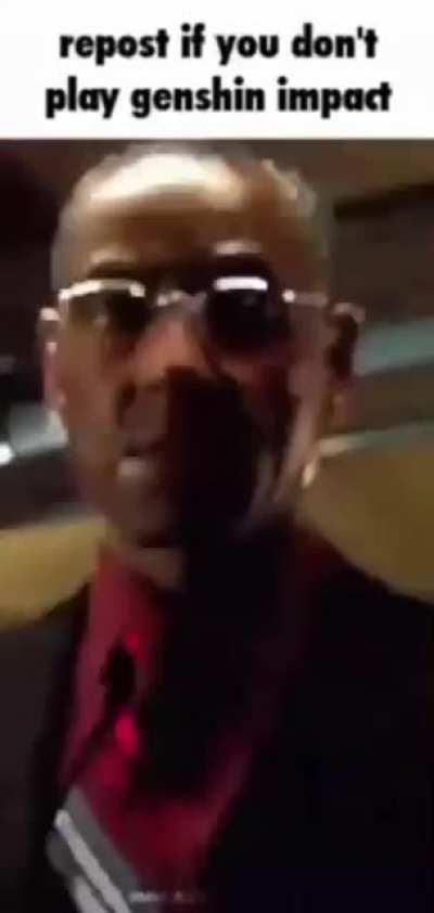 don't play genshin impact