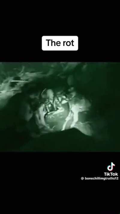 What the fuck is that…