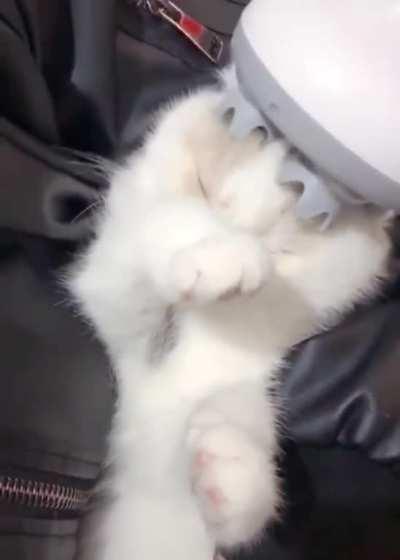 No! Stahp! Oh... I'll allow it.