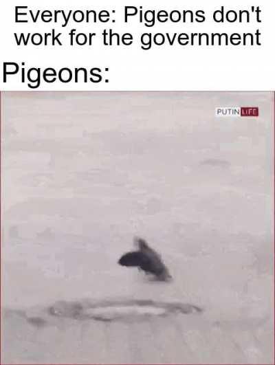 They know who made them.