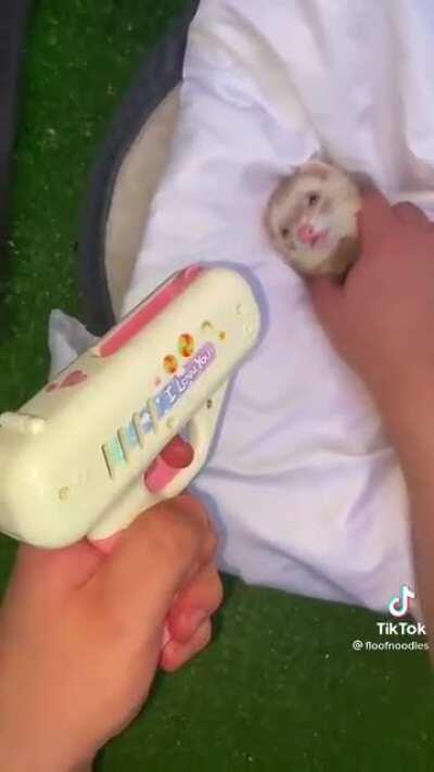 Kid fucking shoots ferret in the head!