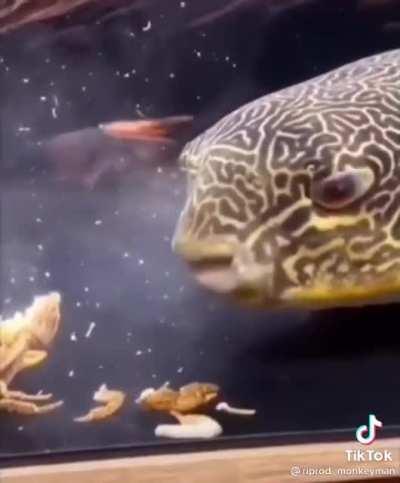 NOOOOO MR KRABS 😭😭😭😭😭😭😭😭😭😭😭😭😭😭😭😭😭😭😭😭😭😭😭😭😭😭😭😭😭😭😭😭😭😭😭😭😭😭😭😭😭😭😭