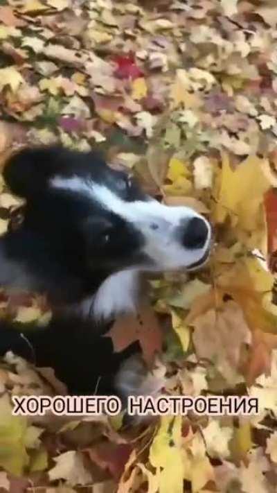 С добрым утром!