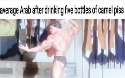 Stop listening to yahudi and majoos lies, this is what camel piss does to you