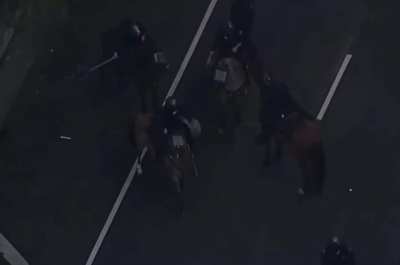 LAPD officer on horseback tramples protestor