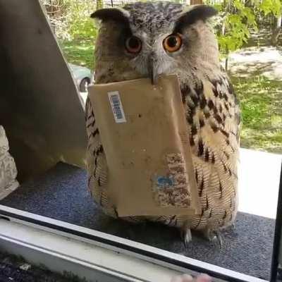 We nick named him fedex!