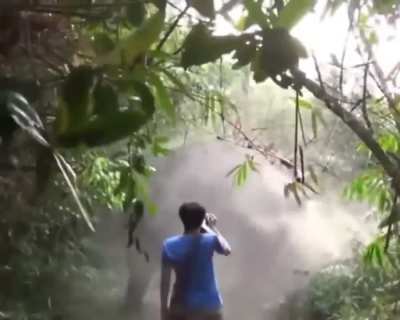 A charging elephant halts when it sees the man in its way