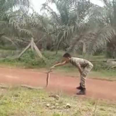 least braver Malaysian