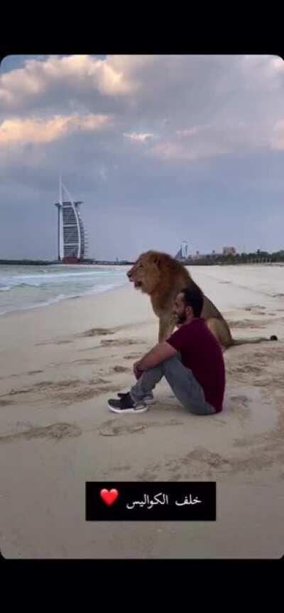 Man takes his pet cat to chill on the beach