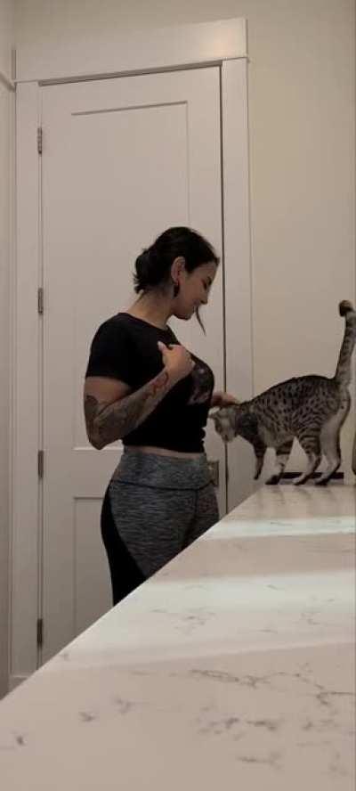 A year ago she found this stray cat on a busy street. And look at them now, they totally love each other. What a lovely relationship.