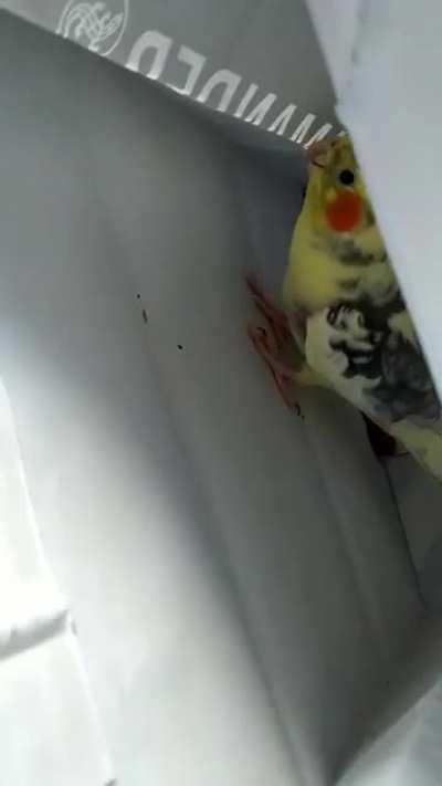 Party with social distancing.