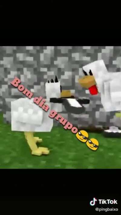 Bom dia grupo 😎😎