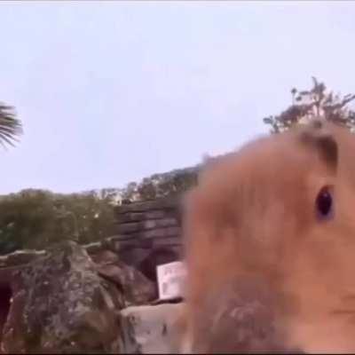 fuck it bro it's yo life