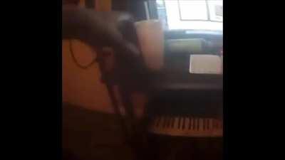 average crouton enjoyer