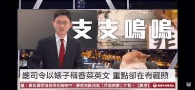 原来是个台独分子，太坏了！