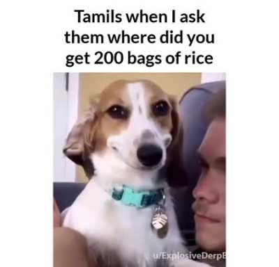 This shit took me 2 hours, enjoy brozzers and don't get offended 😎