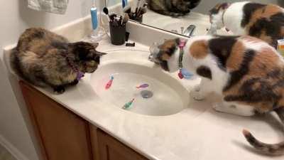 Lucipurr went fishing for her 5th birthday today