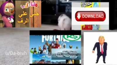 هذا الخنزير استحق ذلك! 😂🤣