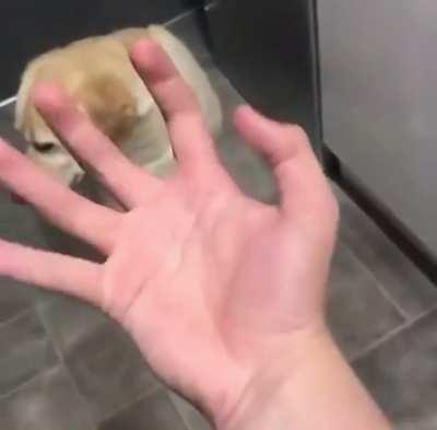 No one is safe from Za Hando