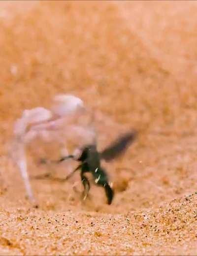 NOOOOOOOOOOOOOOOOOOO