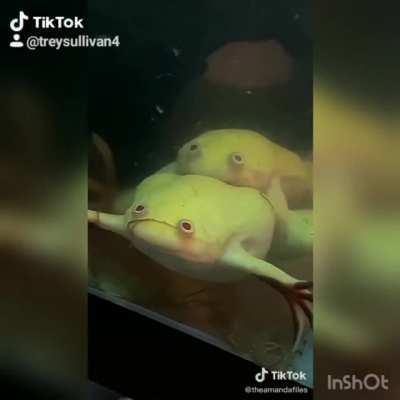 Hopefully this does not offend anyone, found it really funny