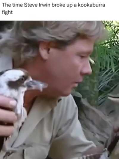 Okay I know this is lame but here’s a 50 second video of Steve Irwin I edited because it reminded me of that Halo 2 Gravemind scene