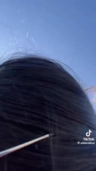 @adderallcat
