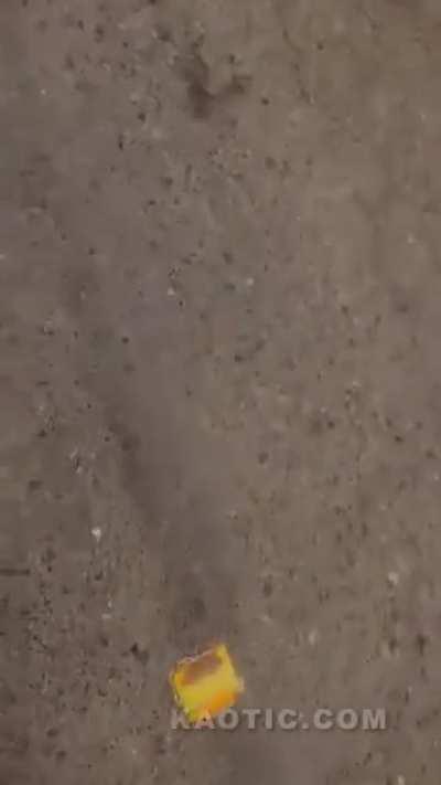 idiot drives a motorcycle while drinking