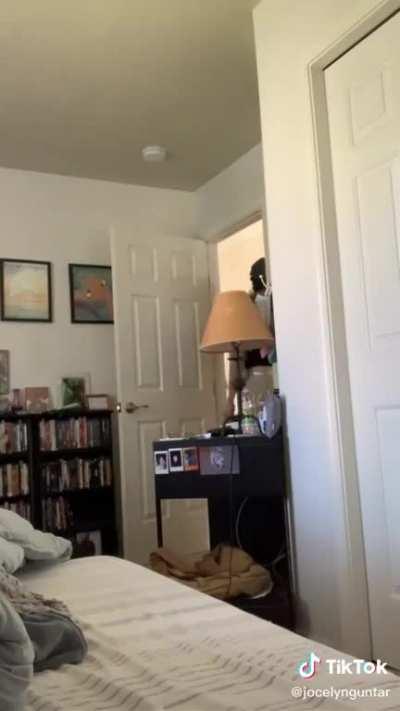 This unleashed such a deep-rooted and indescribable yet familiar fear in my that my mind had to leave my body to stay safe