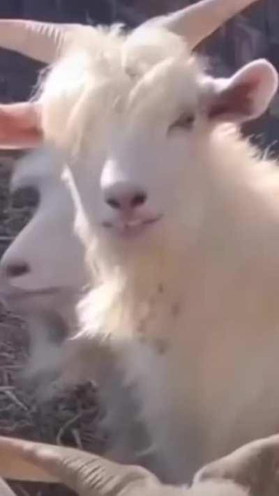 The guys at high school that girls want