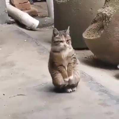 What? I don't have a tummy.