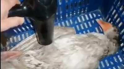 yes that's a good deed wait no-