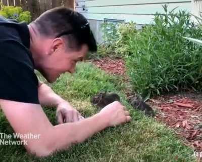 Look at those little rabbits!