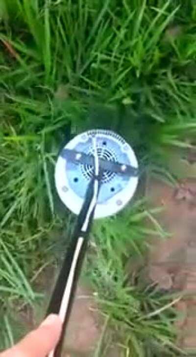 Sobra grama mas falta grana? Eis aí a solução!