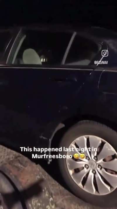 CRASH bang where should you go? Truuunk!?