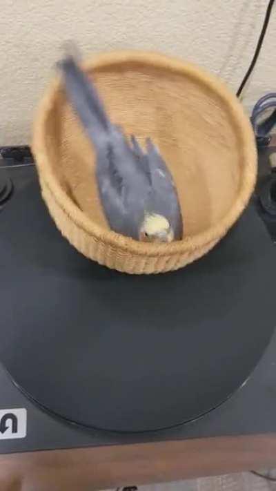 Spin me round right round