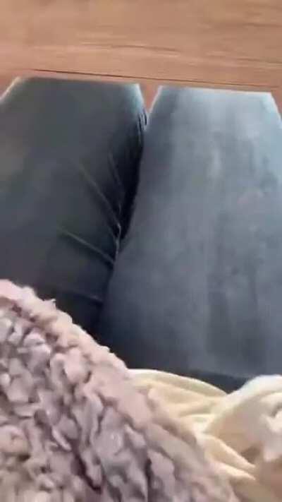 Diabetes training dog alerts his human with boops