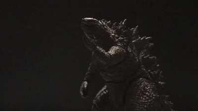 Godzilla questioning