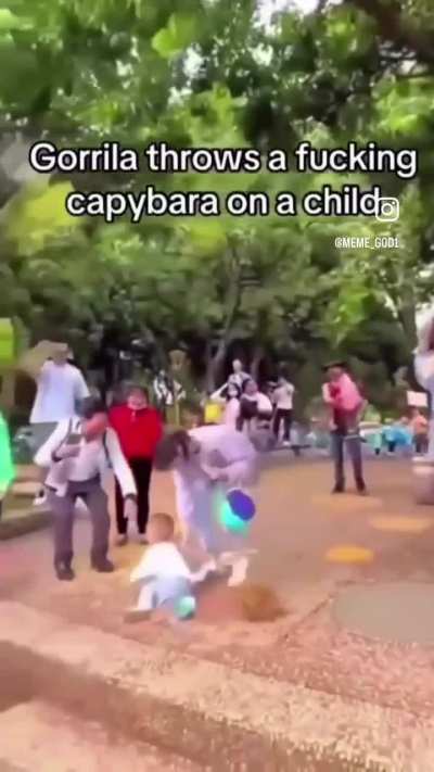 Un gorila le tira un carpincho a un nene.