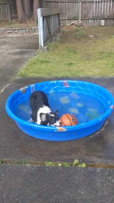 Splish splashing in the pool