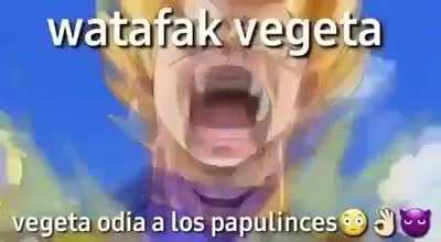 Un grande el vegeta 😎👌