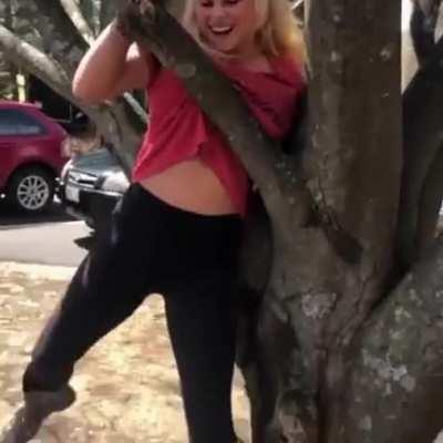 Stuck in a tree