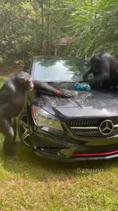 Салон ещё пропылесосьте.