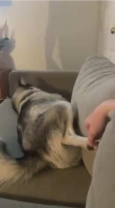 That eyeroll was on point.